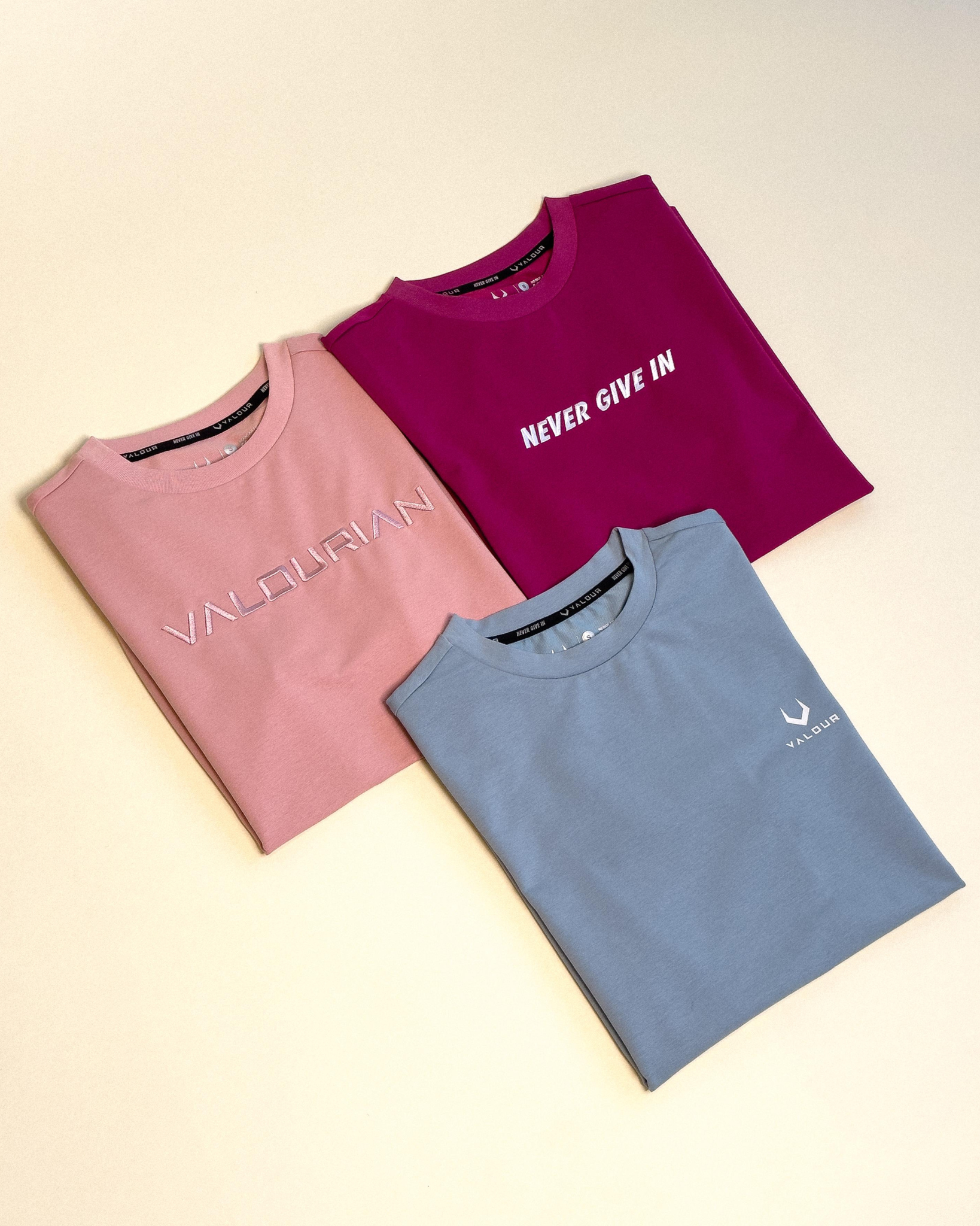 Women Basic Tops Bundle
